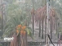 بارش شدید باران در شه‌بابک شرق هرمزگان