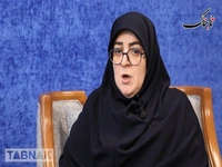 سخنگوی دولت: صداقت پزشکیان از تدبیر روحانی بهتر دارد جواب می‌دهد