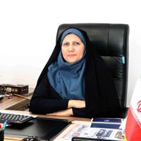 پروژه ملی مهارت‌های اقتصاد دیجیتال وارد فاز اجرایی شد