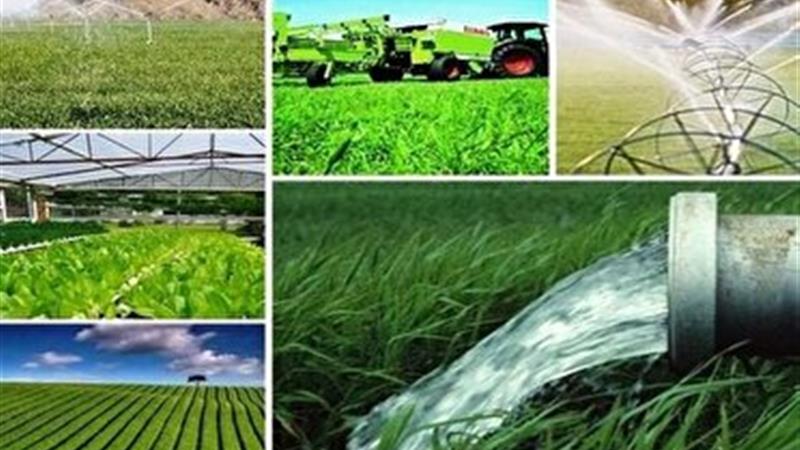۹ همت اعتبار برای تکمیل یک هزار و ۱۹۷ طرح نیمهتمام کشاورزی کردستان