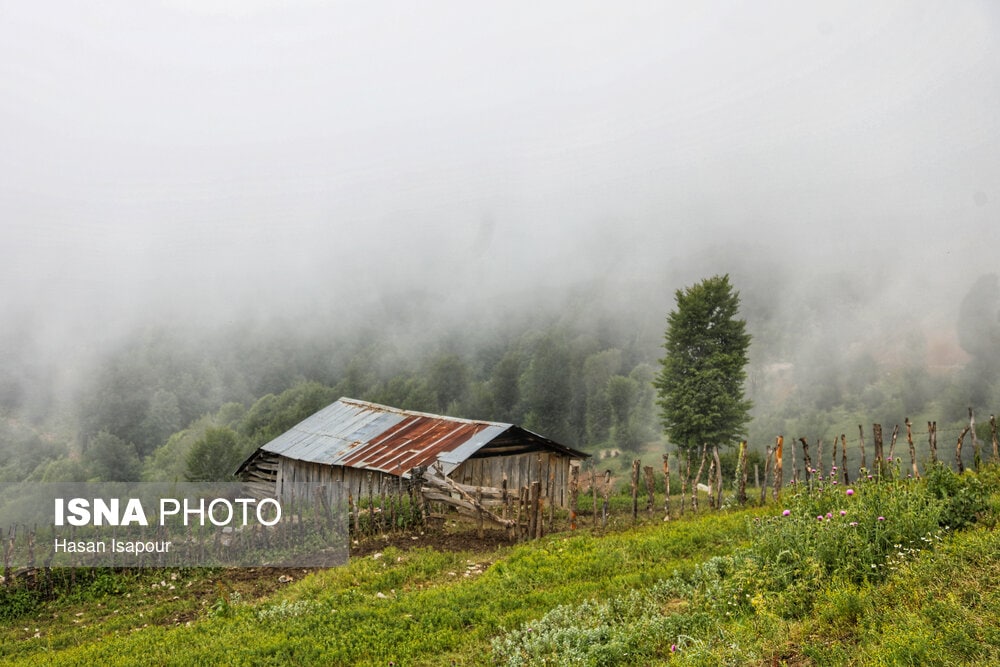 عکس/ روستای «اِسپِرِز» سوادکوه بر فراز ابرها