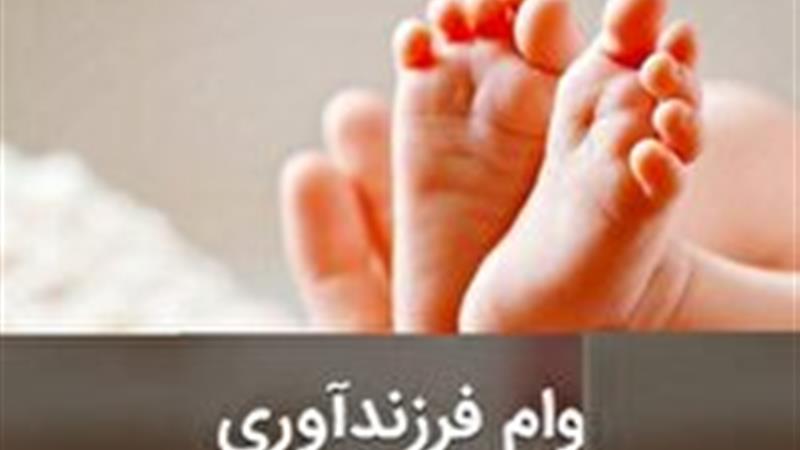 تحقق بیش از ۹۰ درصدی اعطای تسهیلات فرزندآوری در خراسان جنوبی