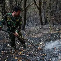 آتش‌سوزی در ‌جنگل‌ «اسپیدسنگ» گرگان