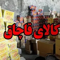 محکومیت میلیاردی قاچاقچی لوازم آشپزخانه در لرستان