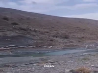 مشاهده خرس سیاه آسیایی در منطقه‌ای از شهرستان بشاگرد هرمزگان