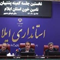 زیرساخت‌های خون‌رسانی در ایلام باید به سرعت ایجاد شود