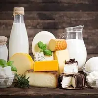 رازهای پنهان لبنیات؛ کدام مفید و کدام مضر؟