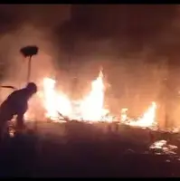 مهار آتش‌سوزی بیشه دالان بروجرد بعد از 4 ساعت