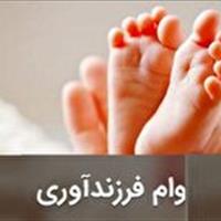 تحقق بیش از ۹۰ درصدی اعطای تسهیلات فرزندآوری در خراسان جنوبی