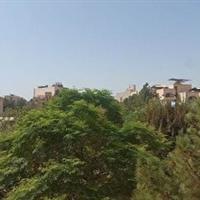 فردا و پس فردا هوا در قم، گرم‌تر می‌شود
