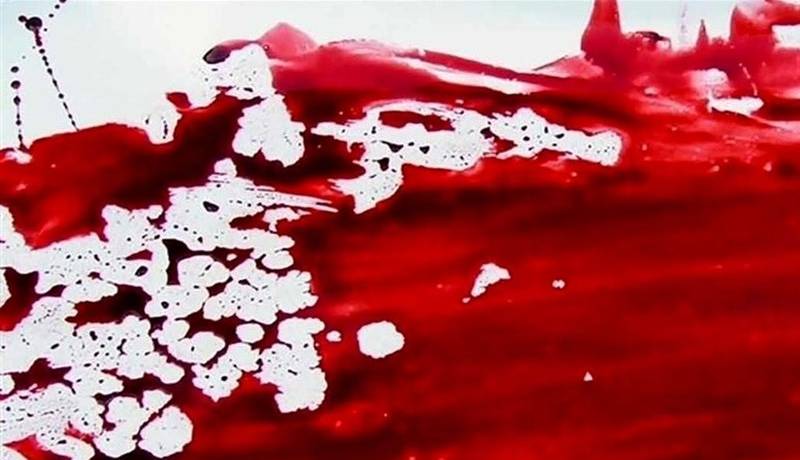قتل خلافکار افغانستانی با ضربات چاقو؛ شرور معروف شهر ری دستگیر شد