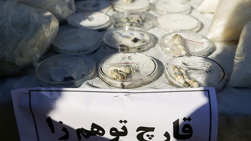فروش روانگردان «مجیک ماشروم» در اینستاگرام و کشف ماینرهای غیرمجاز در تهران