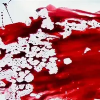 قتل خلافکار افغانستانی با ضربات چاقو؛ شرور معروف شهر ری دستگیر شد