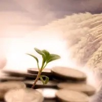 افرایش ۱۵درصدی پرداخت زکات در آذربایجان غربی