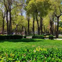 اجرای طرح کاشت گونه‌های گیاهی بومی ایران در شهرکرد
