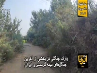 پارک جنگلی دز، آخرین بازمانده جنگل‌های نیمه گرمسیری ایران