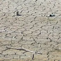 شدیدترین خشکسالیِ ترکیه در بیش از نیم قرن اخیر