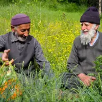 عزمی برای احیای دستور زبان تبری