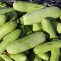 یک خوردنی مفید برای کاهش نفخ