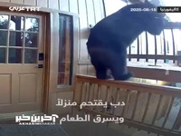 سرقت خرس از یک خانه!