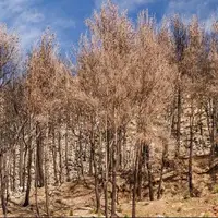 کمتر از ۳ سال فاصله تا رسیدن به آستانه یک بحران اقلیمی