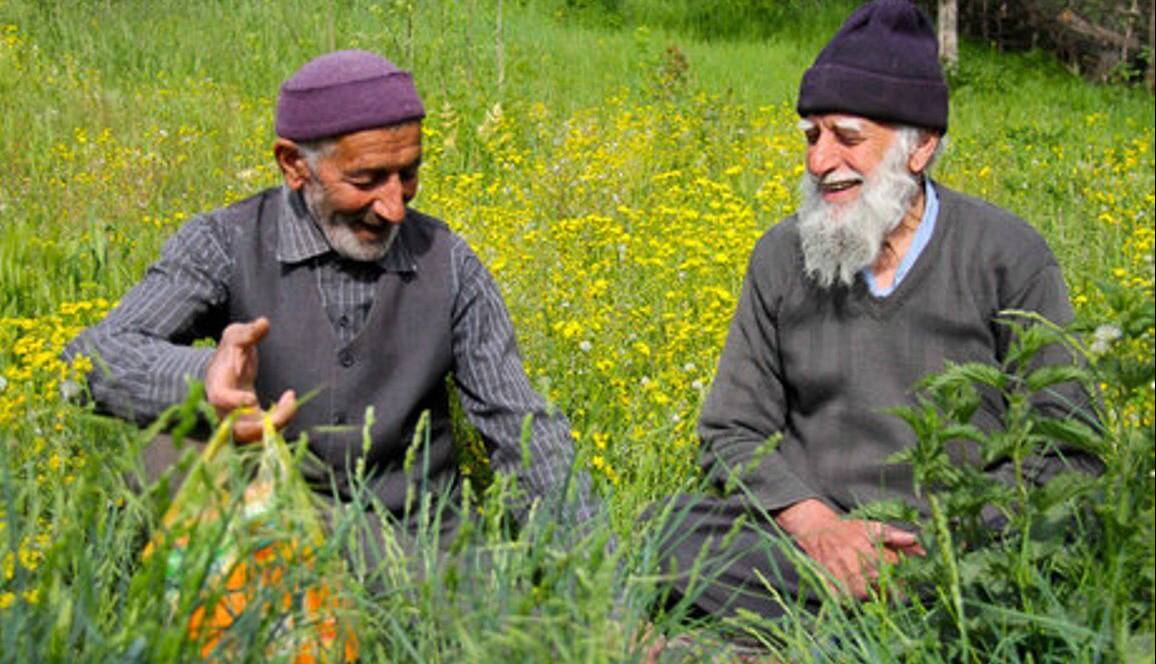 عزمی برای احیای دستور زبان تبری