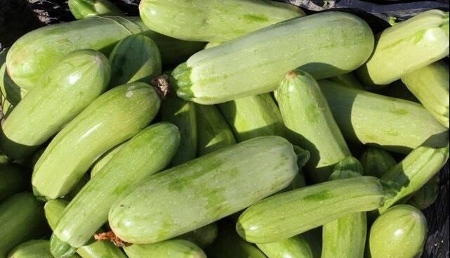یک خوردنی مفید برای کاهش نفخ