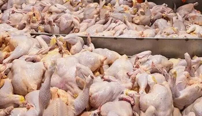 افزایش ظرفیت تولید گوشت مرغ در آذربایجان‌غربی