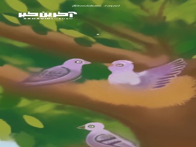 پرنده دانا و نکته های آموزنده