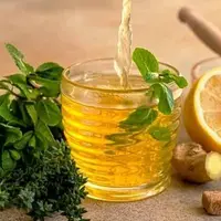 اهمیت کشت گیاهان دارویی در سیستان و بلوچستان