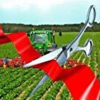 ایجاد اشتغال برای هزار و ۱۶۹ نفر با افتتاح طرح‌های کشاورزی