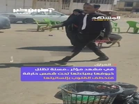 زنی که با چادرش برای گوسفند سایه‌بان ساخت!