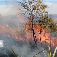 آتش‌سوزی در منطقه چهاربید سالوک خراسان‌شمالی