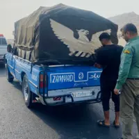 کشف‌وضبط محموله چوب قاچاق در محور کهورستان - لار