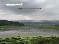 تالاب سوستان در لاهیجان