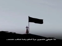 استوری/ دلتنگِ امام رضا علیه السلام