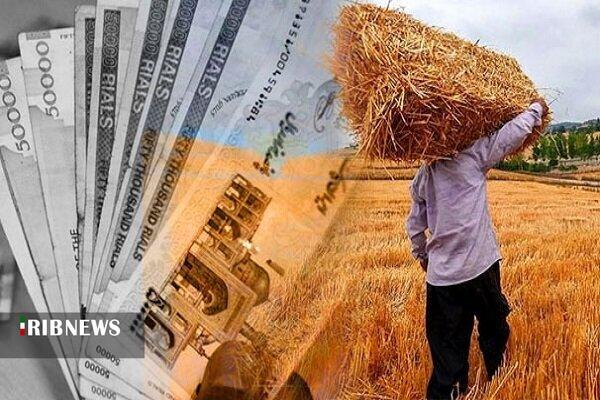 پرداخت ۵۸ درصد از مطالبات گندم‌کاران لرستانی