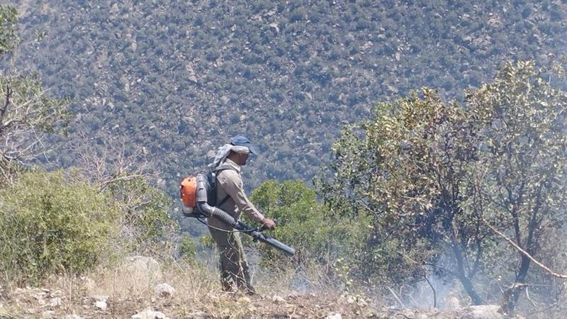 آتش سوزی چهاربید سالوک خراسانشمالی مهار شد