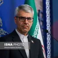 بقائی: اقدامات آمریکا علیه دیوان لاهه همدستی با جنایات جنگی اسرائیل است
