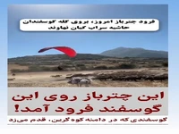 فرود چترباز به‌ روی گله گوسفندان در سراب گیان نهاوند