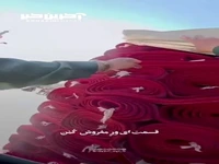 زوایه نگاه خادمان خدمات فرش در حرم امام رضا(ع)