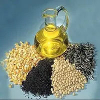 تاثیر دانه‌های روغنی بر حفاظت از بیماری‌های قلبی و متابولیکی