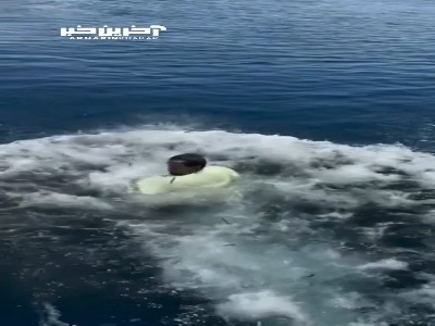 ویدئویی پربازدید از شیرجه یک جوان در میان میلیون‌ها ماهی