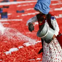 تصاویری دیدنی از خشک‌کردن گوجه‌فرنگی در دیاربکر ترکیه