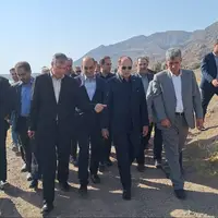 ثبت باغ مادری زیتون علی آباد رودبار، چهارمین کلکسیون بین المللی دنیا