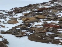 بارش برف تابستانی در قلۀ دماوند