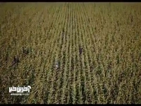 گزینه اصلی سینمای ایران برای جایزه اسکار ۲۰۲۶