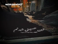 این حسینی شدنم لطف رضا بوده و بس...
