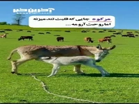 طبیعت دیدنی مرکوه شهرستان مینودشت