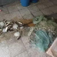 دستگیری ۳ صیاد متخلف در شاهین‌دژ